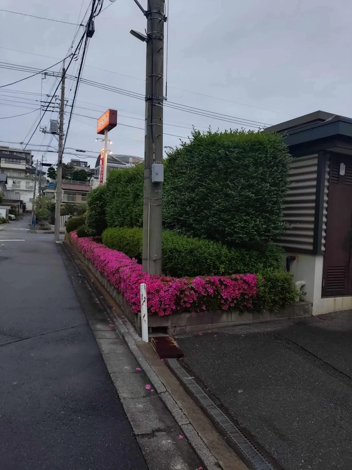 植栽が整えられた建物まわり